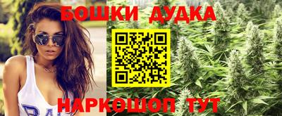 шишки Кингисепп