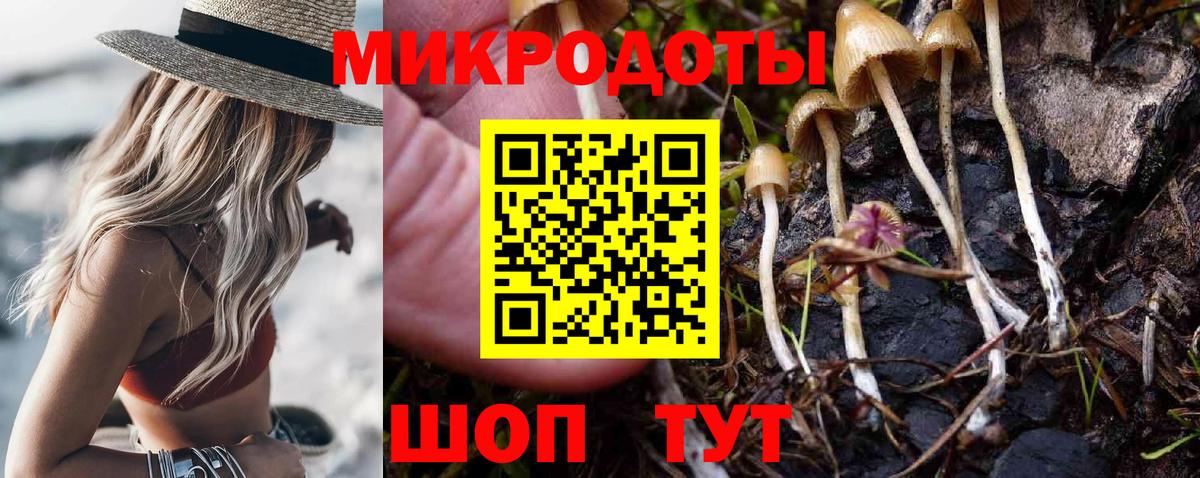 Кудымкар  Псилоцибиновые грибы мицелий  купить наркотики сайты  Вход с VPN  Псилоцибиновые грибы MAGIC MUSHROOMS 