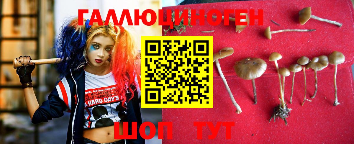 Галлюциногенные грибы MAGIC MUSHROOMS Кудымкар